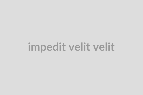 Impedit velit velit